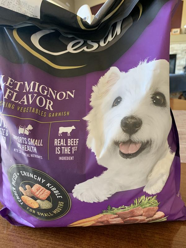 CESAR Filet Mignon Flavor Spring Vegetables Garnish Small Breed Dry Dog Food 5 lb bag Chewy