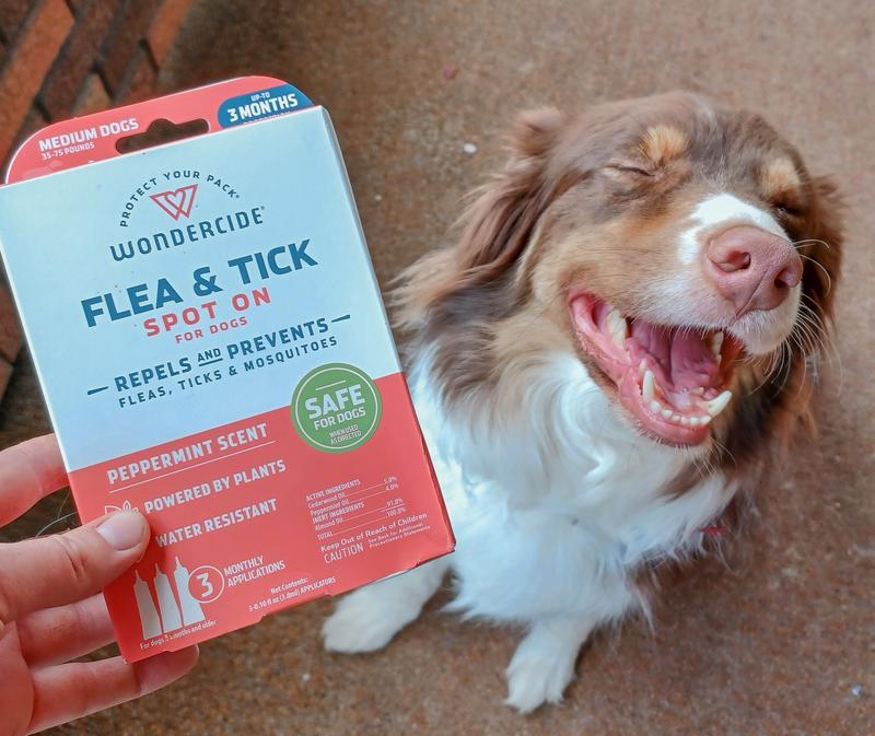 WONDERCIDE SpotOn Peppermint Flea & Tick Spot Treatment for Medium