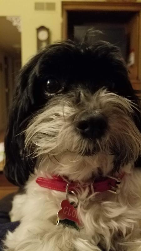 Where is my jerky please