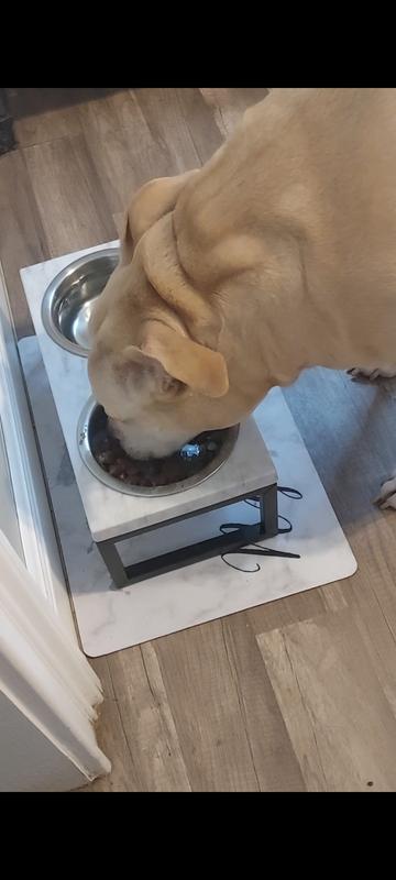 Garno Dog Food Bowls，24OZ Dog Bowl for Medium-Sized Dogs