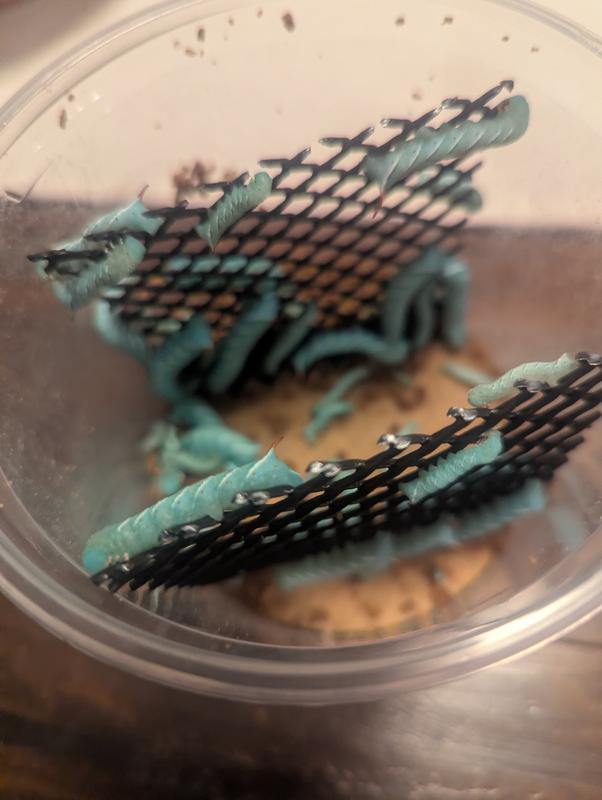 Not small as ordered