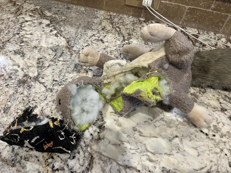 HuggleHounds Feller Durable Plush Squirrel Squeaky Dog Toy