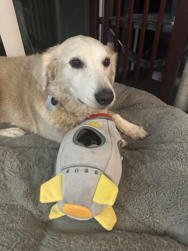Frisco Rocket Ship Hide & Seek Puzzle Plush Squeaky Dog Toy Refills