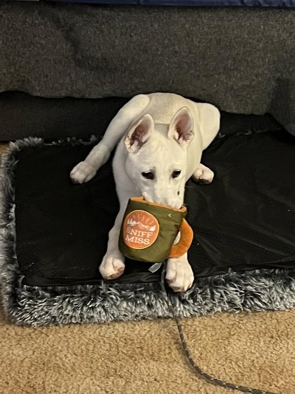 Sippin’ Some Sniff-Miss