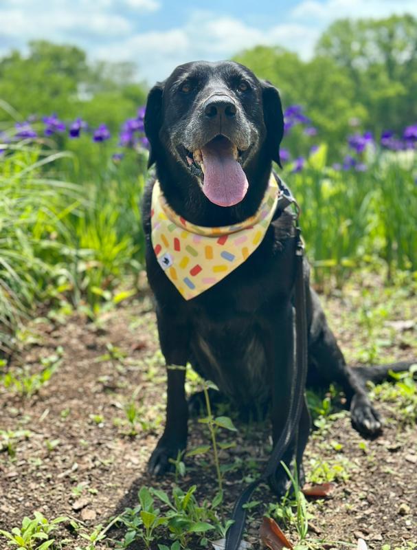 Ready for summer🌞