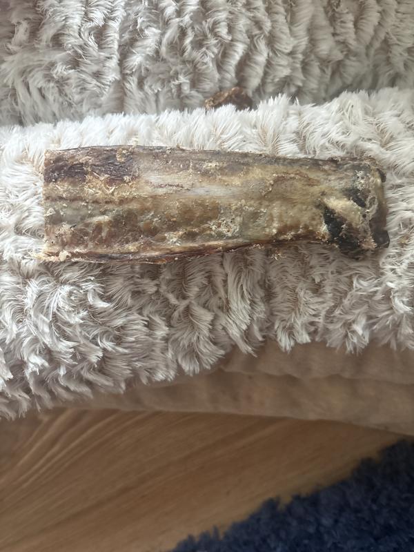 Beefy 6” rib bones