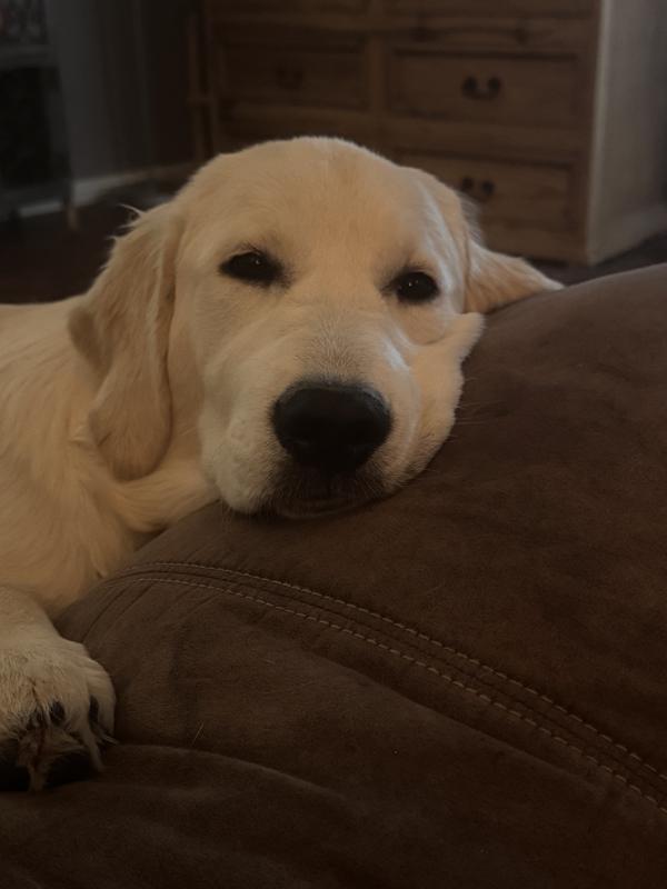 Waiting for her lunch with a side of minnows ;)