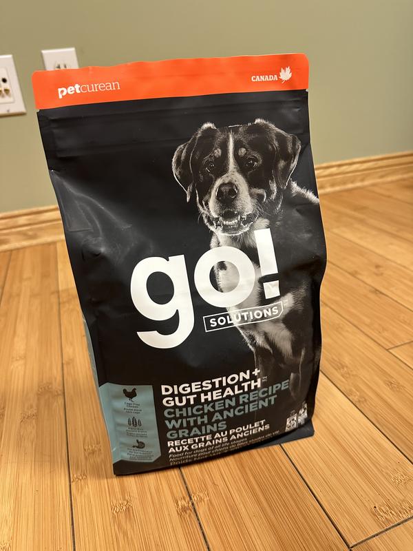 sample bag to start out