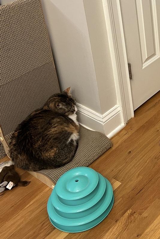 Great for a cuddly nap