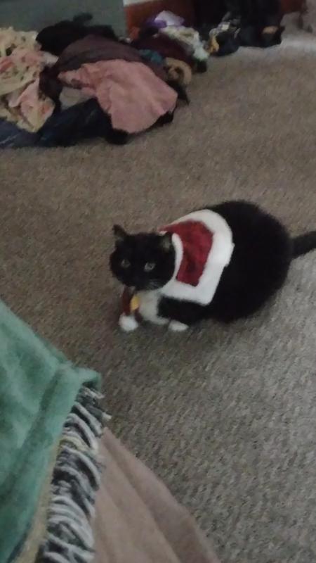 Love it, love it, love it!