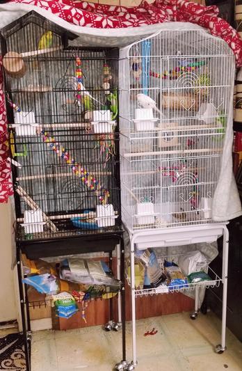 This cage is the one on the left