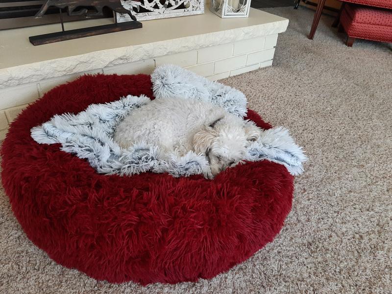 Cozy