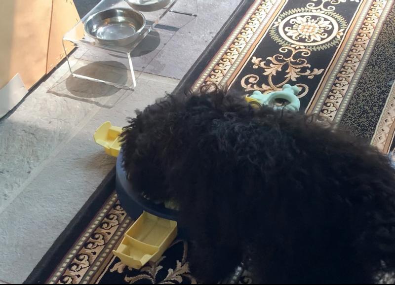 Javier Christian approves!