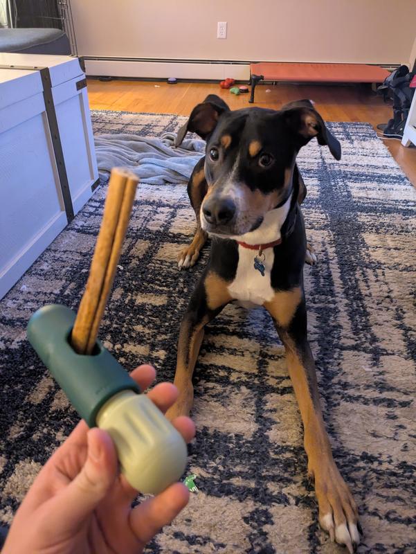 Woof Dog Swallowed A Bully Stick Kong Dog Toy Pet Supplies WOOF