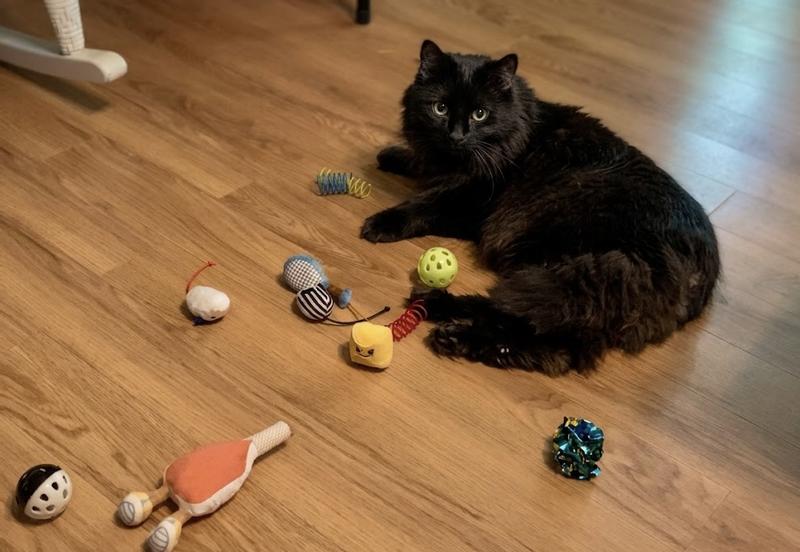 Seeley, AKA the void, decided a tennis shoe was his favorite