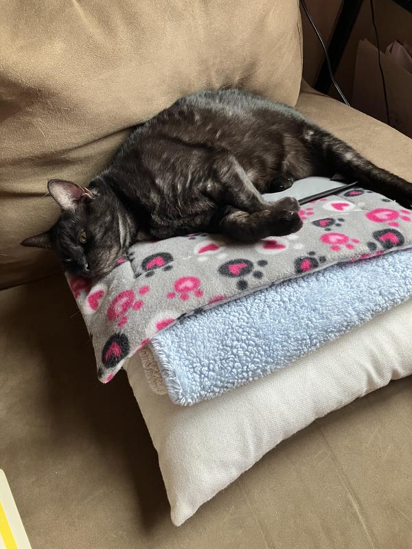 This is how I find her in the morning!