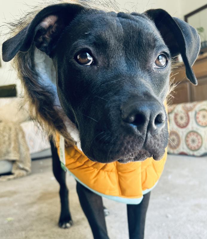 Keeps me cozy on cold mornings