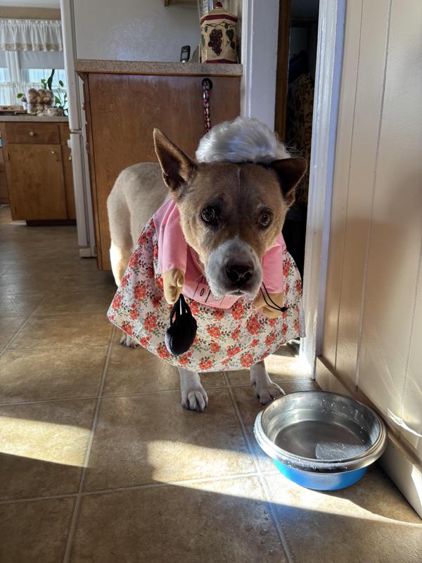 Product Reviews for FRISCO Front Walking Granny Dog & Cat Costume