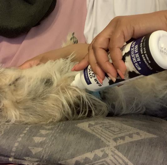 PETHONESTY Otic Dog Ear Cleaner, Cucumber Melon Scent, 8oz bottle