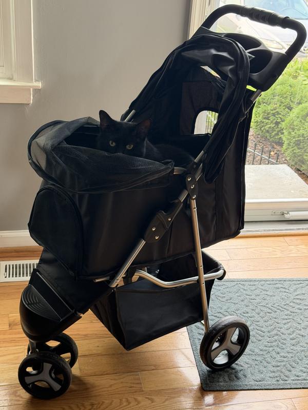 TRIXIE Foldable Cat & Dog Stroller, Black - Chewy.com