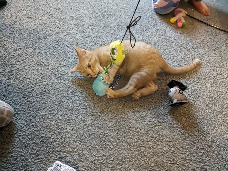 Pixar Mike Wazowski & Sulley Teaser Cat Toy with Catnip