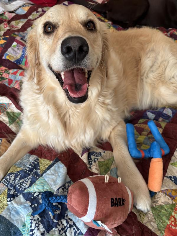 Dragging the toy every where they go.