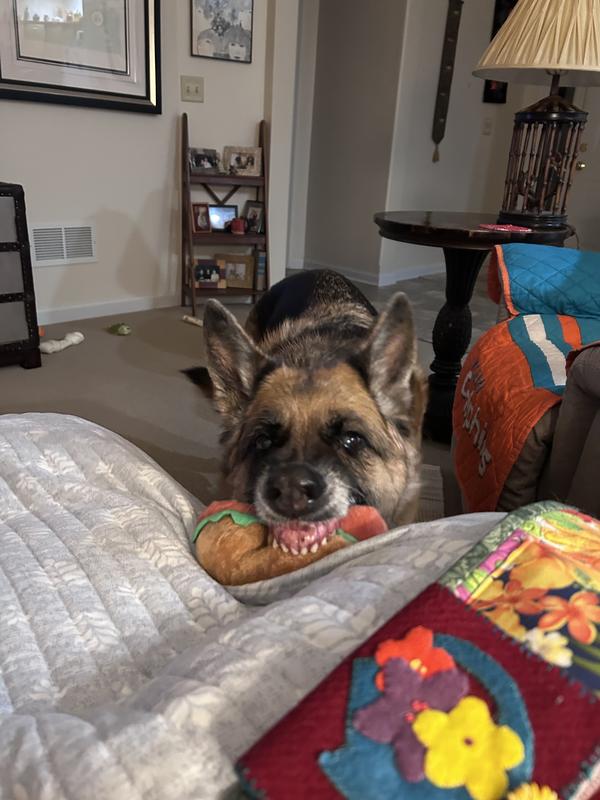 Big teeth!