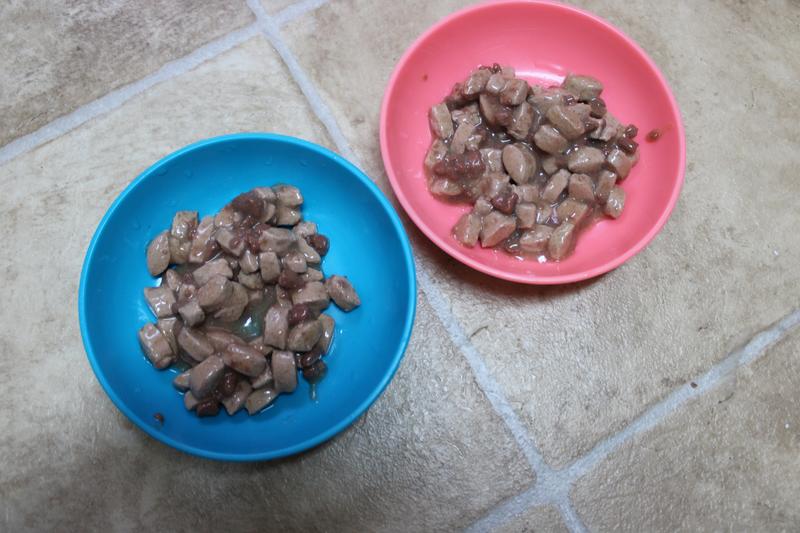 The food in little cat serving dishes