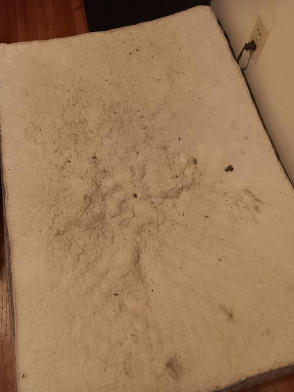 Big flattened section after a week