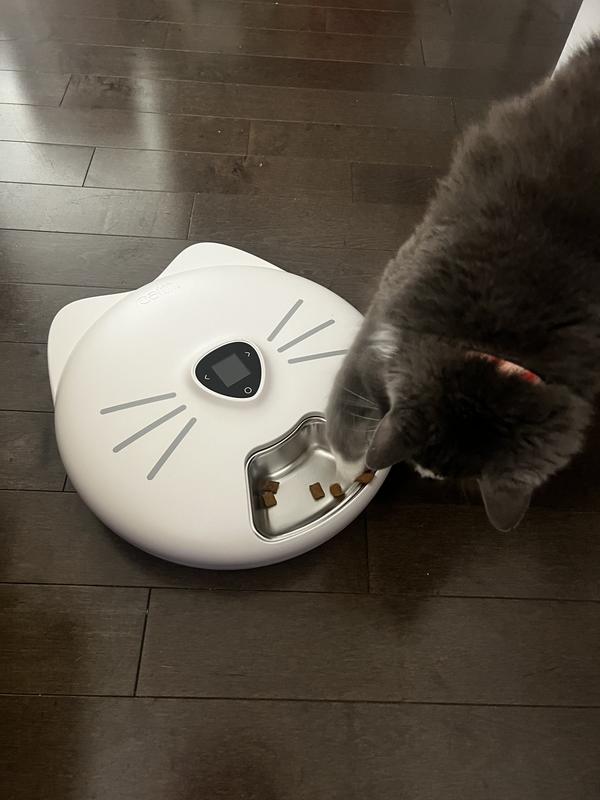 Grayson getting the hang of the new feeder