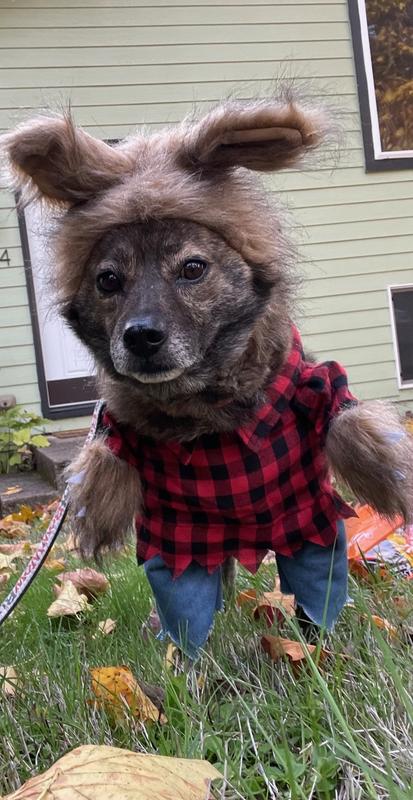 Very scary werewolf.