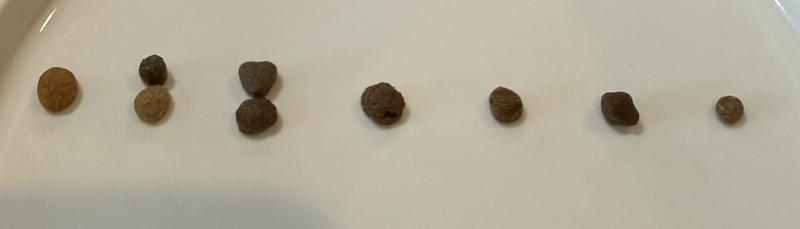 Dry food pellet size comparison
