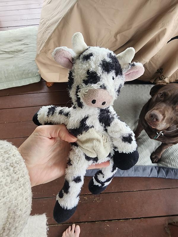 Best large dog toy ever