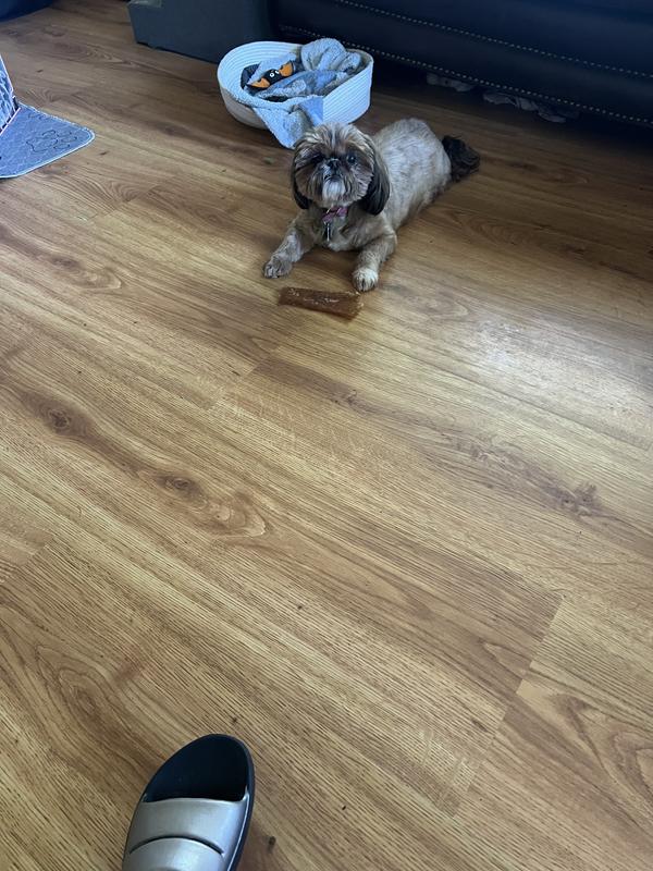 My dogs will not chew these, they are hard for them to chew. I wasted my money.