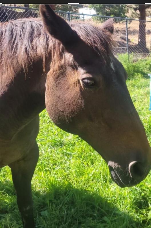 Peppy after eating this food. Very happy and healthy