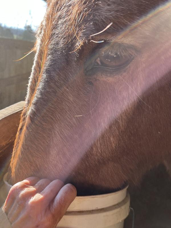 Willa, accepting the ’outlast’ offering.