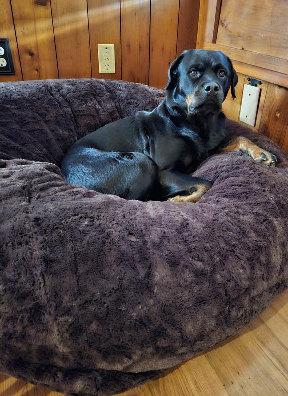 Plush ball shop dog bed