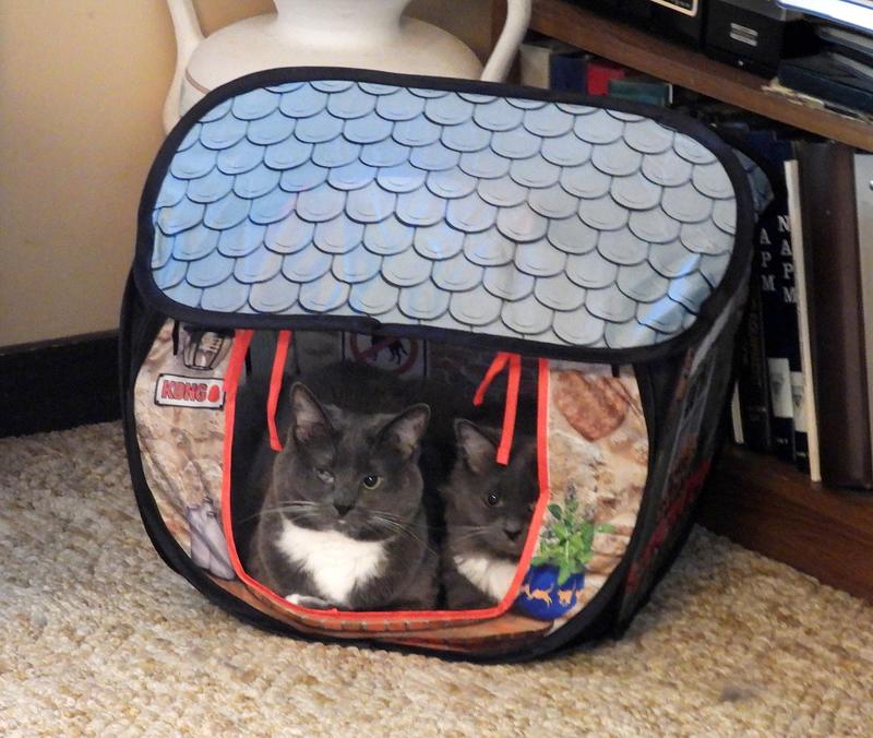 KONG Play Spaces Bungalow Cat Toy