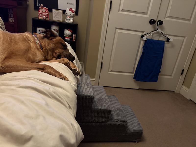 Cannot support anything over 5 lbs I’m sure