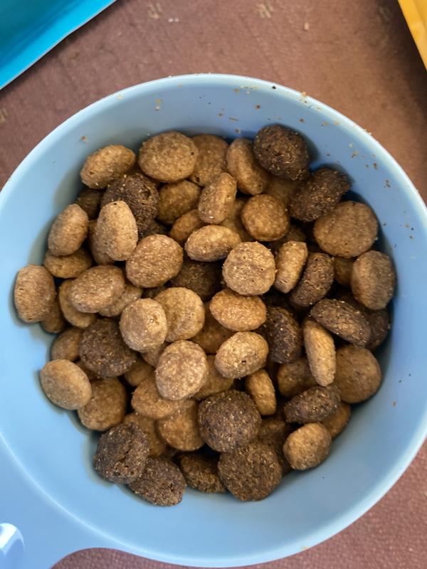 Mixed with her regular food