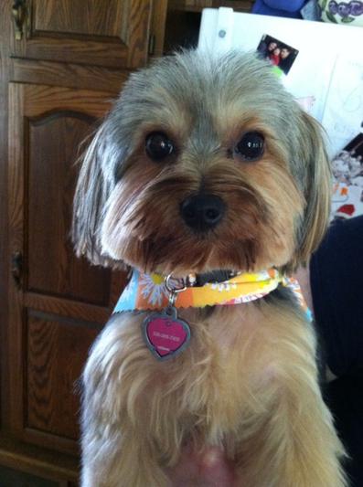 Coco loves Chewy!