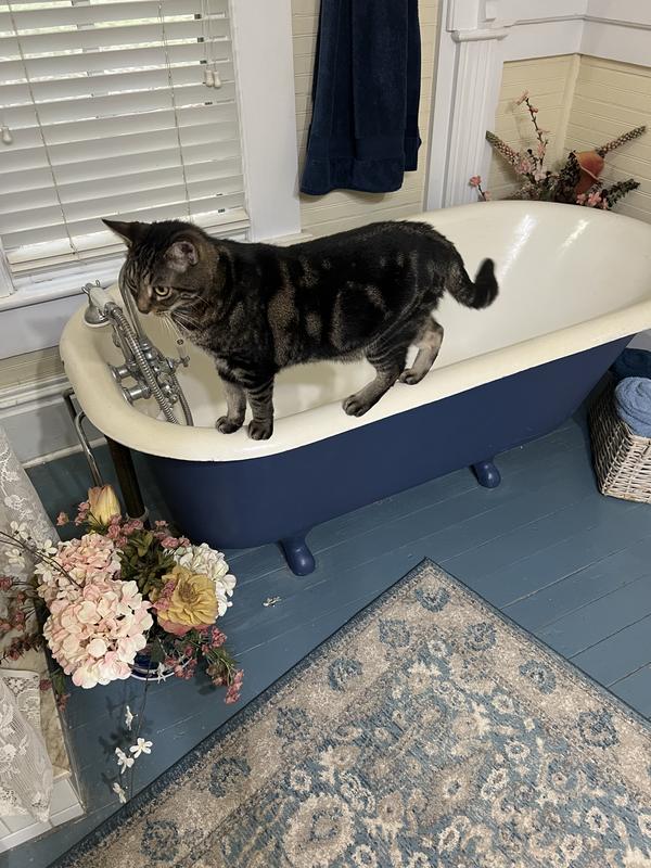 Zebediah is the dare devil and always up for an adventure.