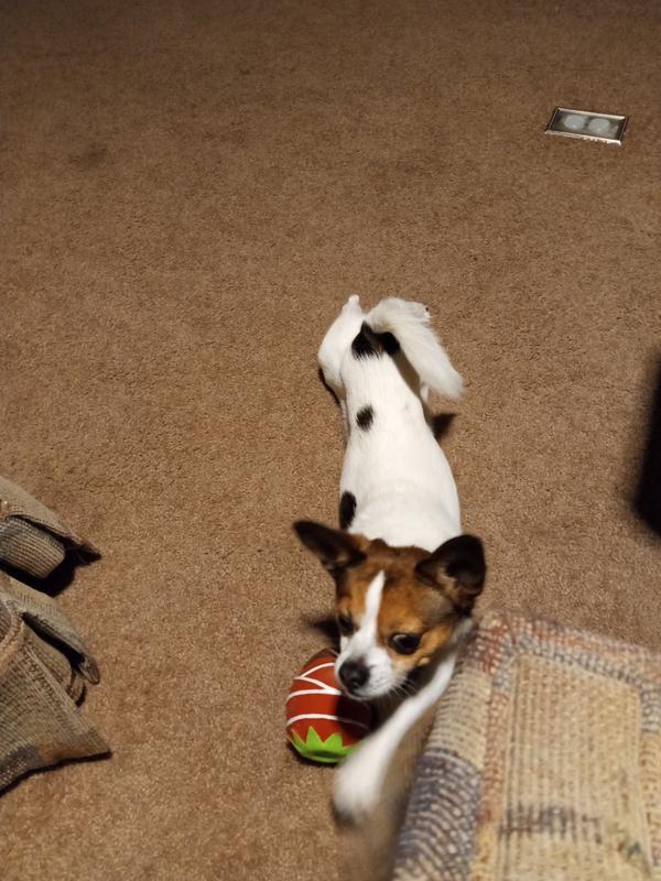 Mommy I brought you my strawberry