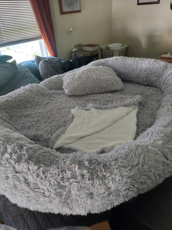 As big as half my King Bed!