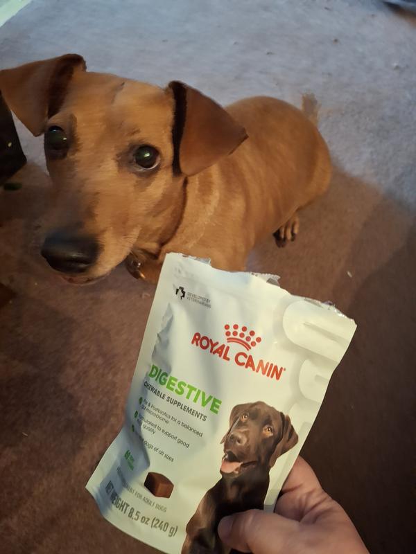 Great benefits for my girl