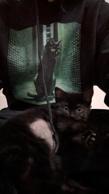 Can't wait for another tiki cat baby treat!