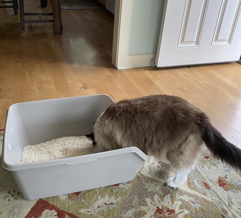 Accepted with no hesitation!