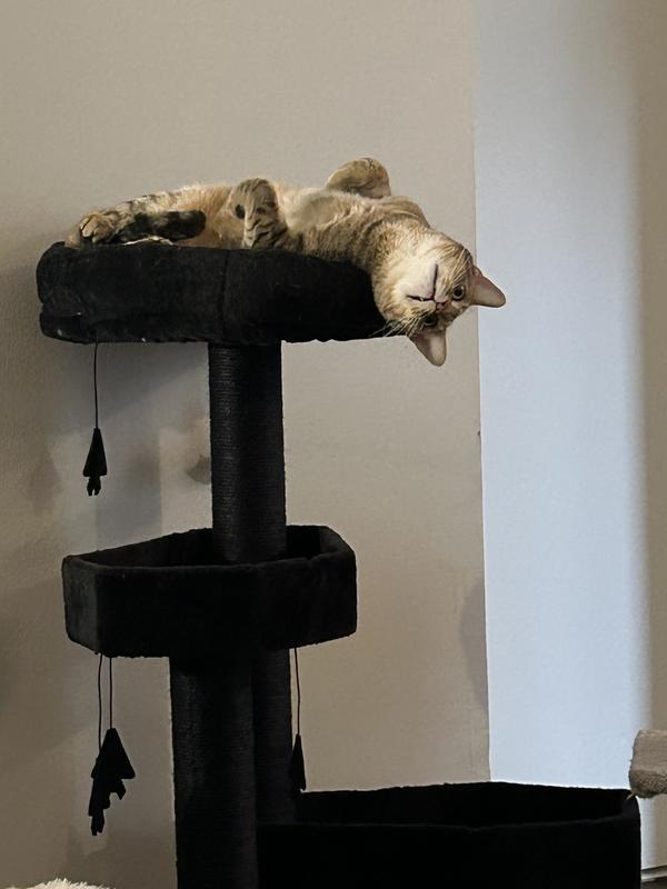 bug doing bug things, and the tree not tipping!