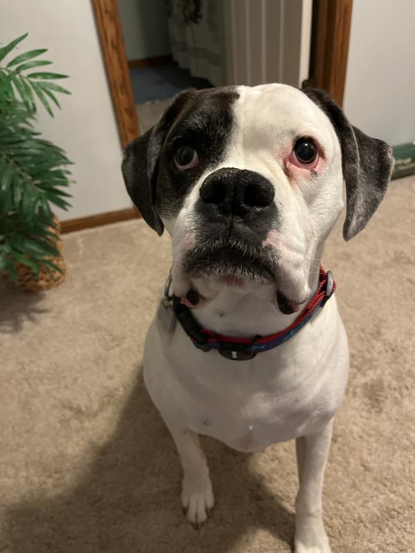 Finn looking handsome