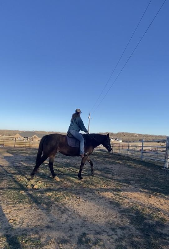 Nice and calm for our winter weather ride